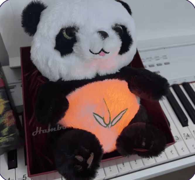 PANDITA RESPIRADOR — foto 1